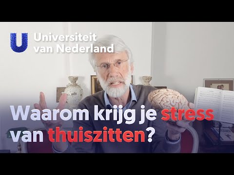 Waarom krijg je stress van thuiszitten? | Erik Scherder