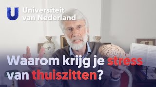 Waarom krijg je stress van thuiszitten? | Erik Scherder