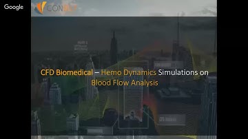 CFD BioMedical - Hemo Dynamics Simulations on Blood Flow Analysis - ENG