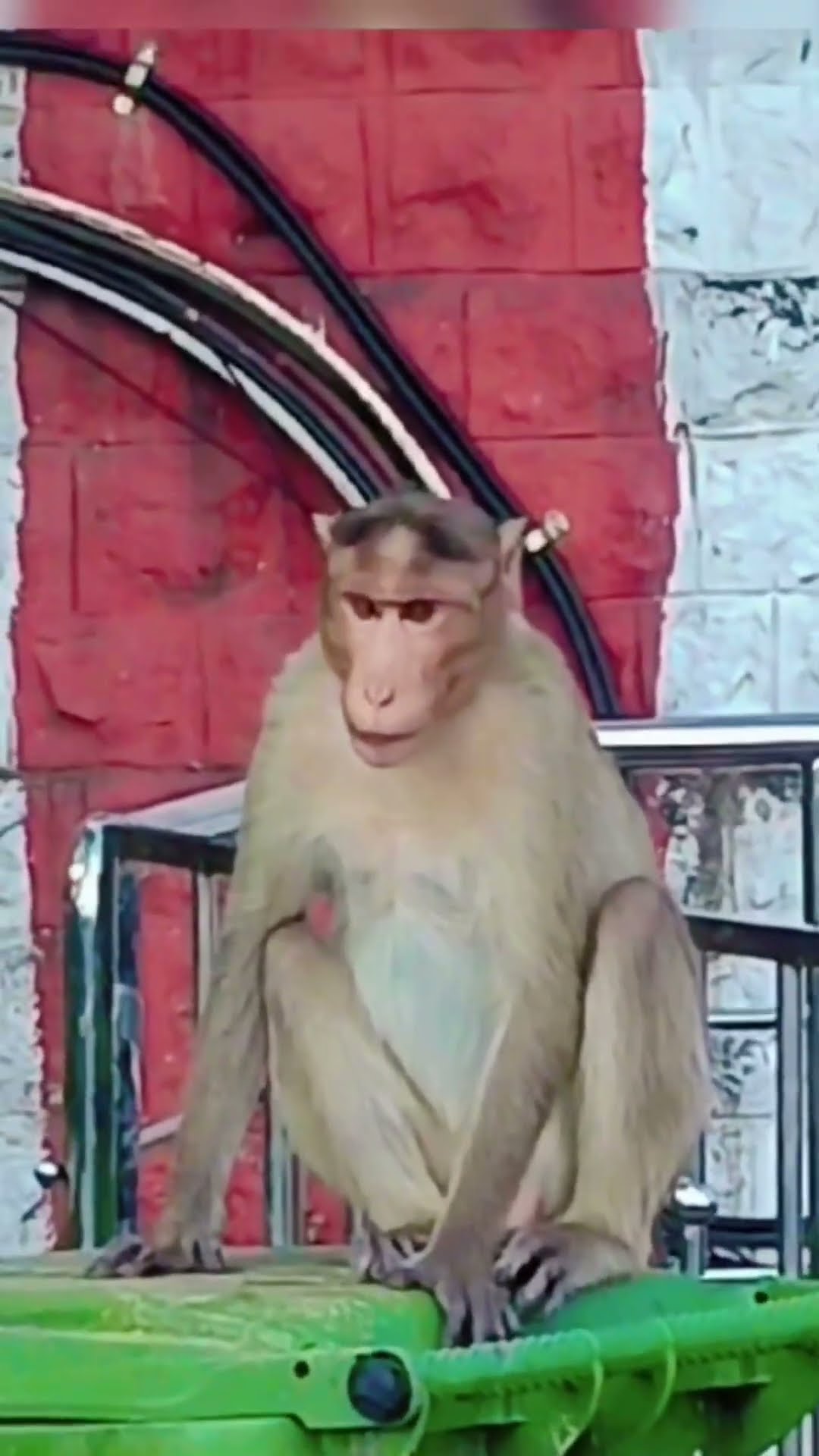 🤣காமெடி ஸ்டேட்டஸ் - ShareChat