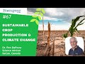 International webinar  breeding for sustainable production to meet the challenges of climate change