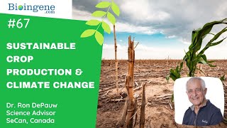 International Webinar - Breeding for sustainable production to meet the challenges of climate change