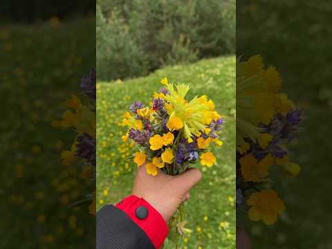 📍Хрюгский лес, Ахтынский