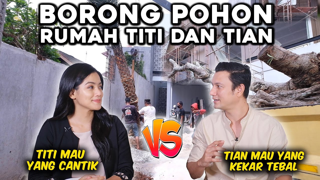 HEBOH BORONG POHON & LANDSCAPE DESIGN RUMAH TITI DAN TIAN, DEBAT LAGI!!