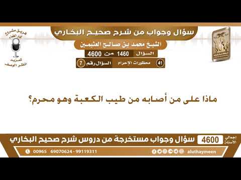 1460 4600 ماذا على من أصابه من طيب الكعبة وهو محرم ابن عثيمين