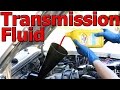 How to Change Automatic Transmission Fluid and Filter (COMPLETE Guide)