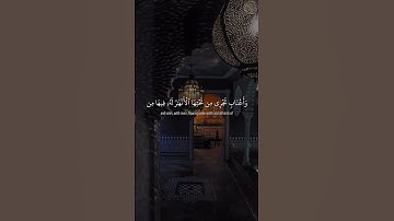#القارئ #فارس_عباد #quran #القرآن_الكريم #تلاوات_خاشعة #تلاوات #تلاوة #تلاوة_خاشعة #تلاوة_هادئة