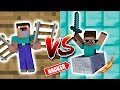 Noob VS. Pro Roller Coaster Challenge - Minecraft Animation