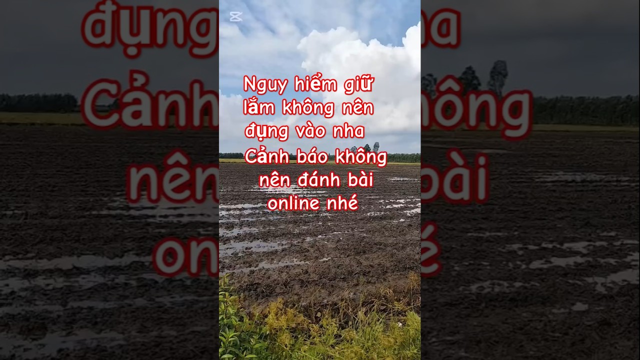 xo so mn mn Đánh bài online nên đành bán mạng shortvideo bonsai bonsaisaigon