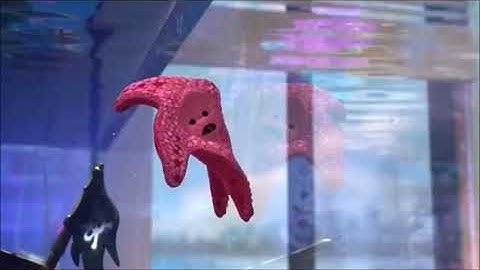 Finding Nemo Part 21