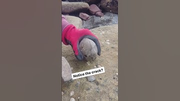 Rounded Pebble Cracked Open To Reveal Perfect Ammonite
