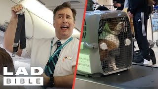 Funniest Travel Moments 😂 ✈️ | LADbible