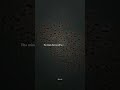 Sweater Weather - The Neighbourhood | lyrics | aesthetic | english songs | Slowed | whatsapp status