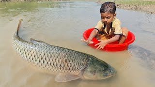 Amazing Traditional Boy Fish Catching By Hand in Water | Amazing Hand Fishing Video #Fish