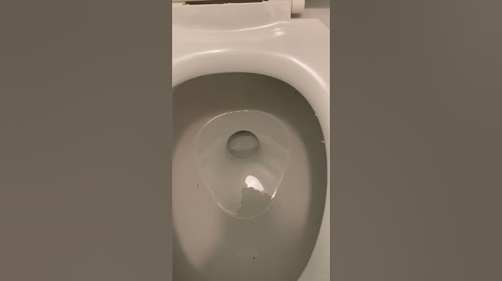 Dropping my phone into the toilet