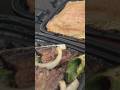 【広島お好み焼き】炭火焼肉挟んでBBQ仕様にしてみた🍖😋