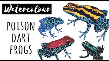 Painting 4 poison dart frogs (at the same time) | Watercolour illustration