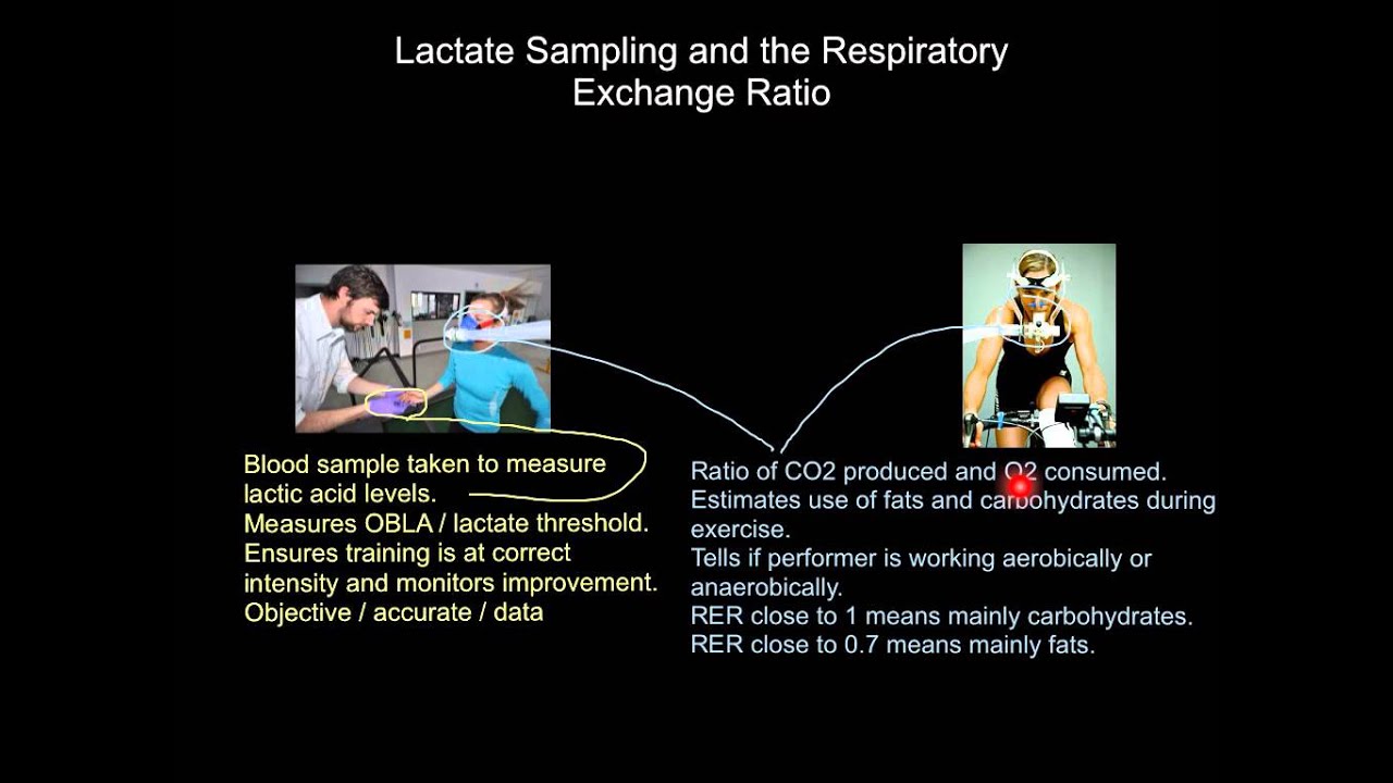 Lactate Sampling and RER YouTube