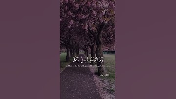 سورة الممتحنة |قران كريم |ارح سمعك