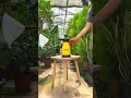 Der Allrounder: MESTO HERBI 360° Drucksprüher | pressure sprayer für deinen Garten