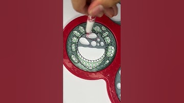 You’ll Want to Watch This Again — #ReplayLoop #HookedViewers #ASMRVibes