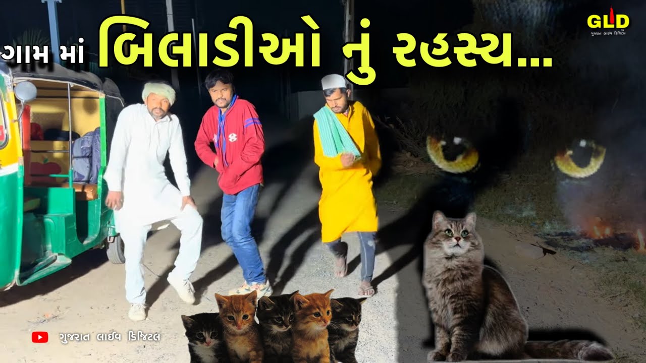બિલાડીઓ નું રહસ્ય // Gujarati funny video // Gujarat live digital // GLD