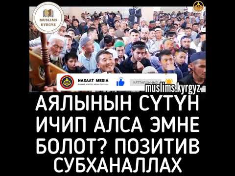 Video: Эмне үчүн аялынын чыккынчылыгын кыялданасыз