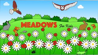 Meadows for Kids by Learning with Lisa 1,899 views 1 year ago 10 minutes, 52 seconds