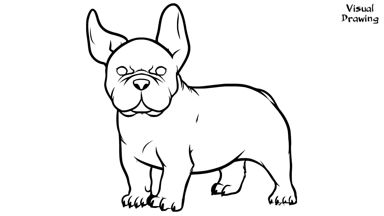 French Bulldog Drawing Easy, How To Draw A French Bulldog For Beginners Step By Step 