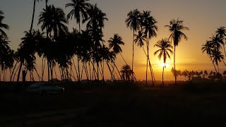 Dahariz Beach |Al Haffa Beach |Beaches in salalah |Tourist places in salalah, Muscut|khareef salalah