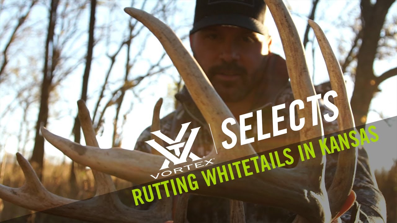 Rutting Whitetails in Kansas - Vortex Selects