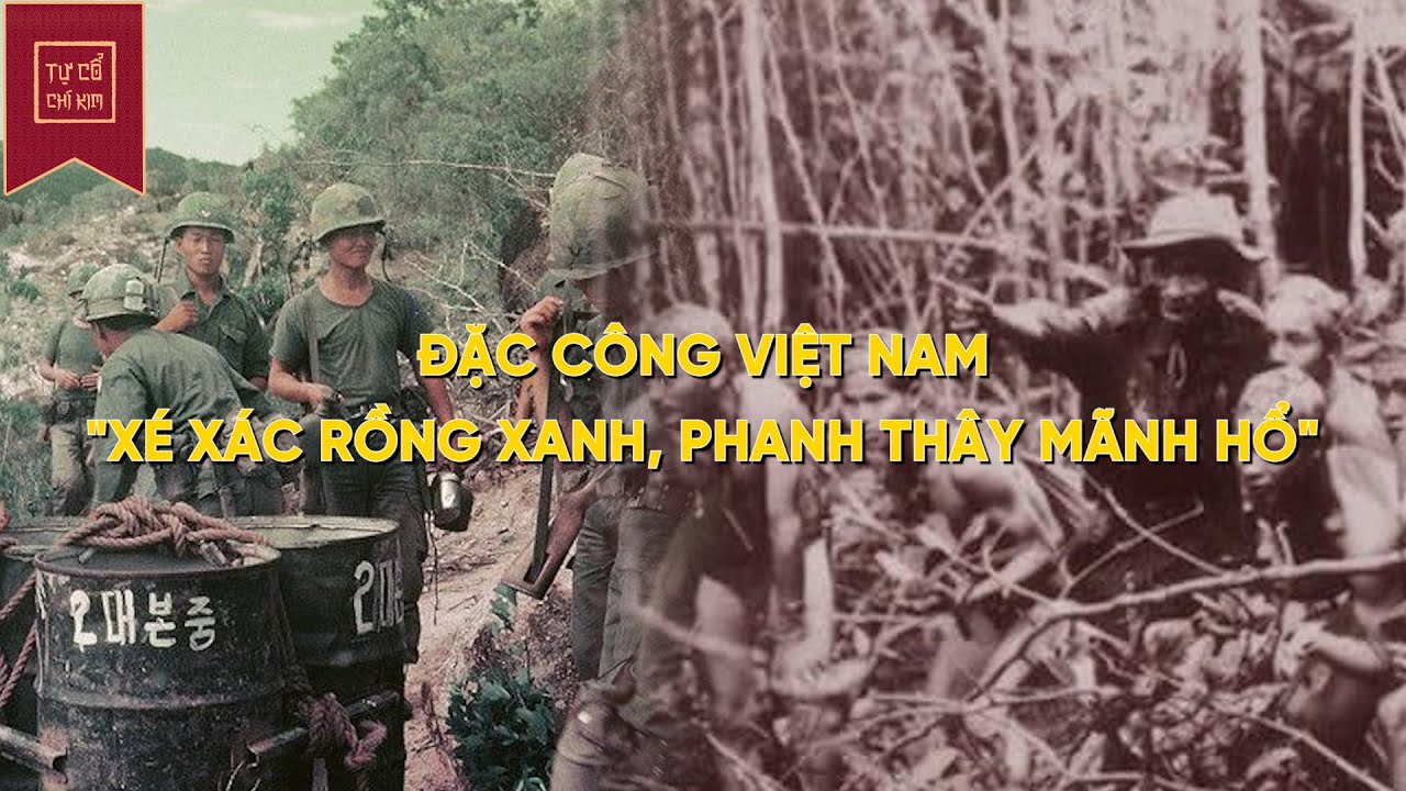 ĐẶC CÔNG VIỆT NAM “XÉ XÁC RỒNG XANH, PHANH THÂY MÃNH HỔ” | TỰ CỔ CHÍ ...