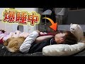 猫は飼主が寝てるあいだ何をしているのか？