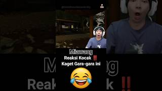 Reaksi Kocak Miawaug Saat Di Jumpscare 🤣 | Reaksi Gamer Indonesia