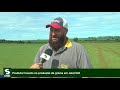 Produtor investe na produção de grama em Jataí/GO