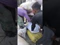 বারবাজার রেলগেটে আবারও লোড গাড়ি উল্টে গেলো