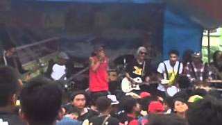 Snoopy and Woody Roots - free medley ticket to ride  (monkey boots -the beatles) covers