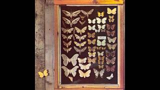 Capolavoro perduto di folk-prog: l'album eponimo delgli olandesi Mayfly