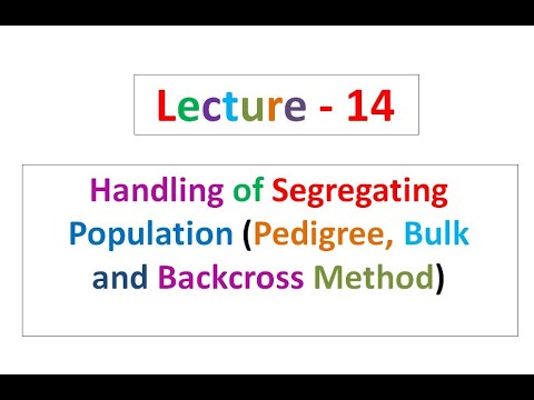 Lecture - 14 Plant Breeding