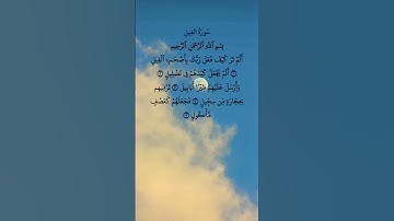 القرآن الكريم  سورة الفيل #علاء_عقل #قران_كريم #اكسبلور