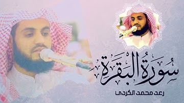 سورة البقرة بصوت الشيخ رعد الكردي