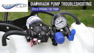 Troubleshooting Everflo 12V Diaphragm Pump Inlet Strainer