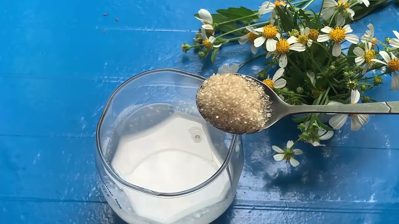 Bài thuốc chữa bệnh từ bột sắn dây Bài thuốc chữa bệnh từ bột sắn dây