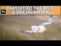 Exporting to the Web and Social Media from Photoshop