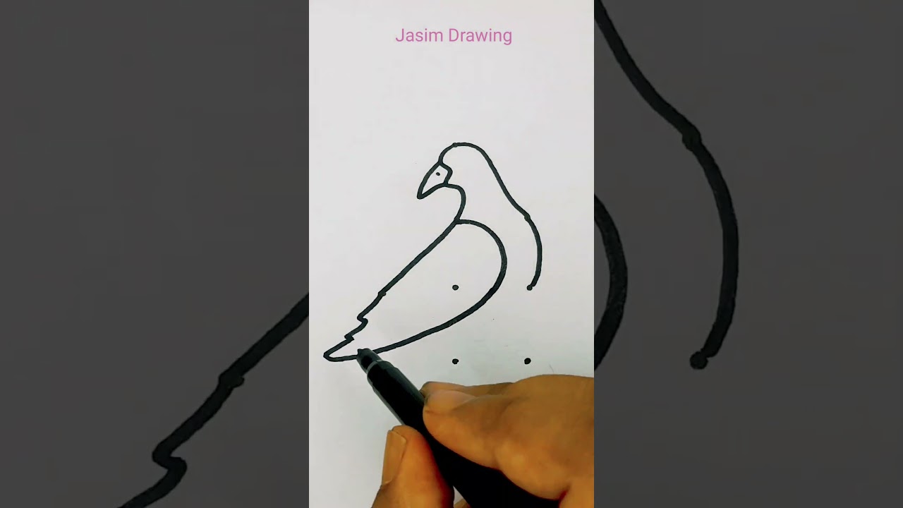 Pigeon 🕊️ drawing from dots easy