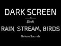 BLACK SCREEN RAIN Sounds for Sleeping | STREAM and BIRDS | Dark Screen Nature Sounds