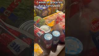 Feeding my family of 8 #groceryhaul #bigfamily #homecookedmeals #weeklygroceryshopping #momof6