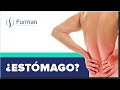 Dolor de ESPALDA por problemas de ESTÓMAGO 🤢 [dolor de estómago | dolor cervical]