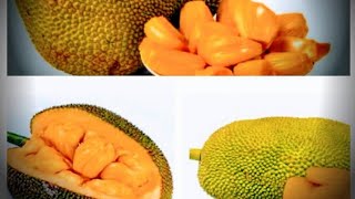 kathal, jackfruit cutting method,