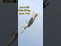 Israeli F15 Ra'am Drops JDAM Bombs - Tactical Bombing 精密攻撃：イスラエルF15 Ra'amがJDAM爆弾を投下 - 戦術爆撃"